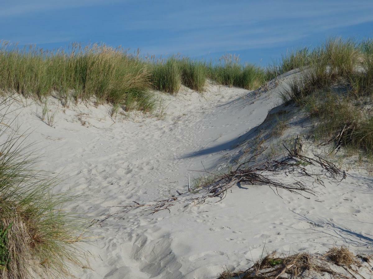 Premium-Lodge Im Der Suedschwede ... Dein Gaestehaus Mitten In Zingst Zewnętrze zdjęcie