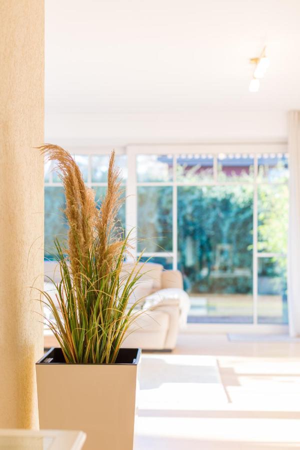 Premium-Lodge Im Der Suedschwede ... Dein Gaestehaus Mitten In Zingst Zewnętrze zdjęcie